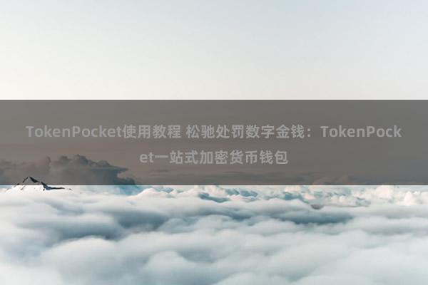 TokenPocket使用教程 松驰处罚数字金钱：TokenPocket一站式加密货币钱包